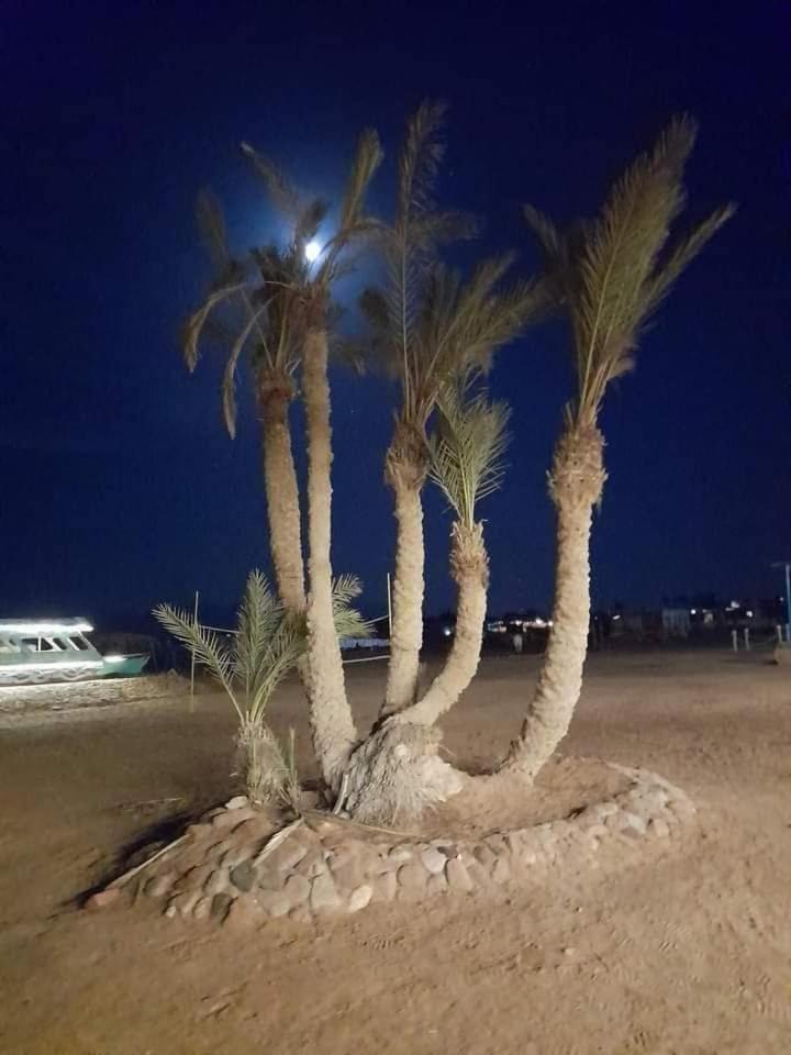 Nuweiba Oasis 호텔 외부 사진