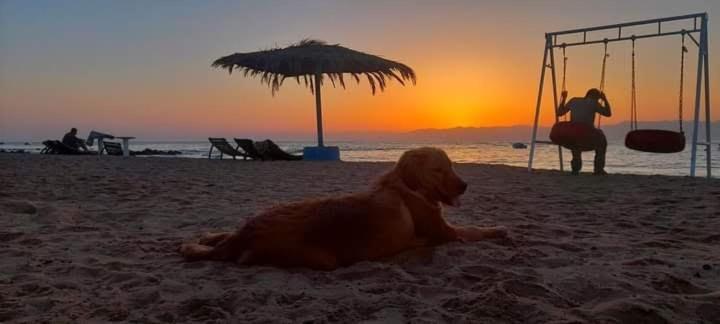 Nuweiba Oasis 호텔 외부 사진